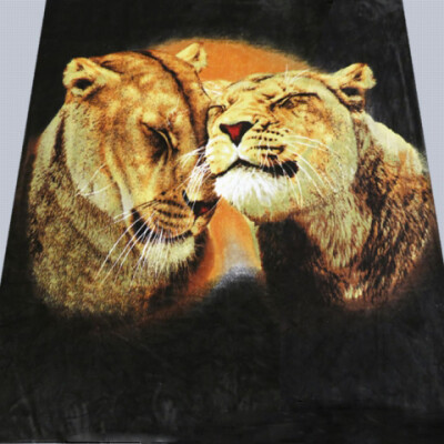 Плед з мікрофібри "ELWAY" 200х220 см. "Леви"